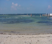 Cancun05 011